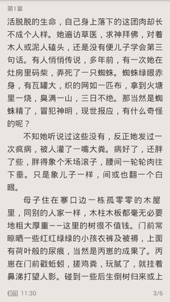 爱游戏体育平台合作意甲